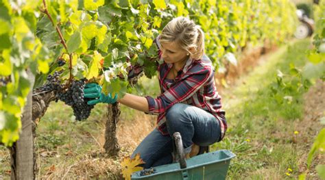 Lagriculture Au F Minin Journ Es Nationales De Lagriculture