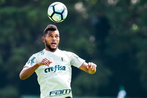 De Olho No Vice Palmeiras Pega Botafogo Em Ltimo Jogo No Palestra