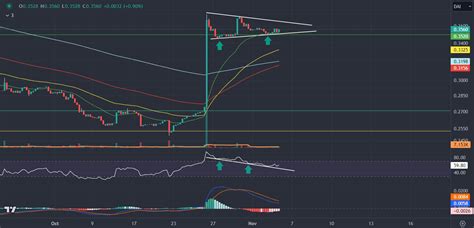 Hidden Bullish Divergence Guide - Trading Literacy