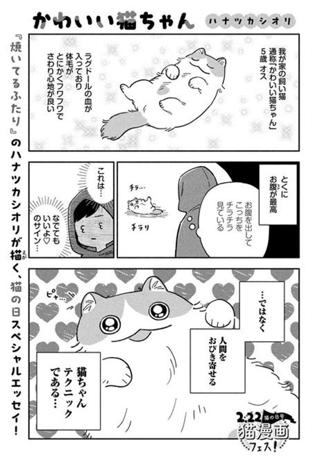 🐈今日は猫の日🐈 さらに！ 同じく本日2 22発売モーニング12号 『焼いてるふたり』最新⑰巻9 20発売 さんのマンガ ツイコミ 仮