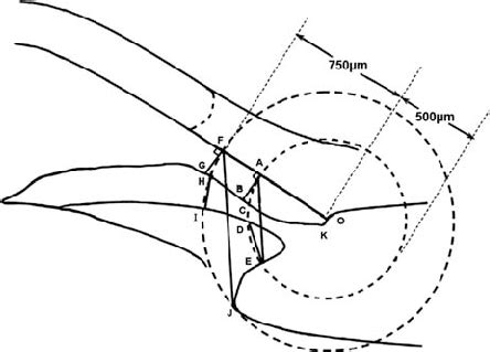 Schematic diagram of angle structure and definitions of angle... | Download Scientific Diagram