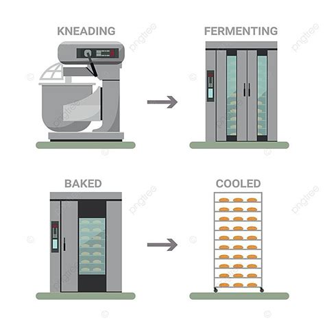 Bread Processing Process Flow Bakery Machinery Cartoon Vector