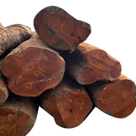 Timber Wooden Logs At Rs 2500 Cubic Feet Logs Of Wood In Ullal ID