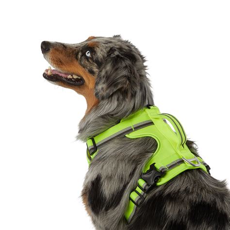 Arcadia Trail Yellow Neoprene Sport Harness For Dogs Only Natural Pet