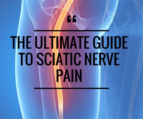 ultimate guide  sciatic nerve pain  asana academy