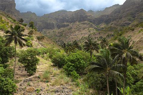 D Couverte Des Les Du Sud Du Cap Vert Entre Volcan Fogo Et Verdure A