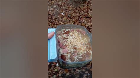 Подкормка голодающих собак!!!! - YouTube