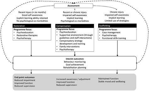 Frontiers A Neurobehavioral Therapy Approach To The Rehabilitation