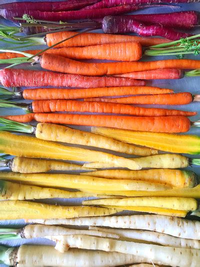 Rainbow Carrot And Ricotta Tart