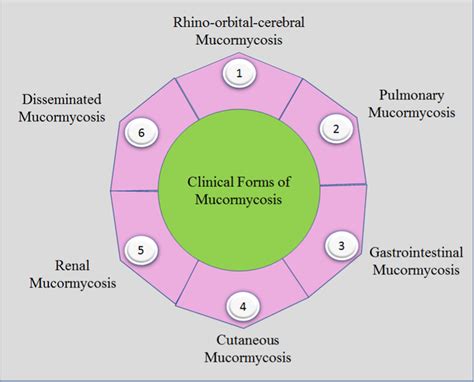 Various types of common clinical forms of mucormycosis | Download ...