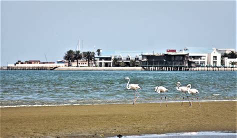 5-five-5: Walvis Bay - Namibia