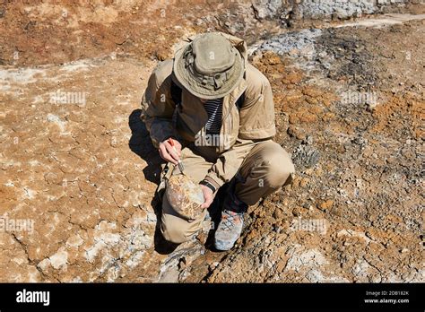 Paleontologist Fotograf As E Im Genes De Alta Resoluci N Alamy