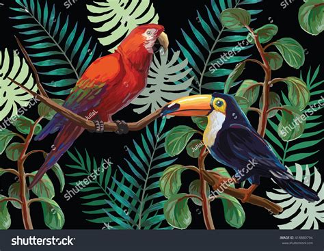 Tropical Rainforest Toucan: Over 6,230 Royalty-Free Licensable Stock Illustrations & Drawings ...