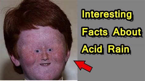 Some Acid Rain Facts You Should Know Youtube