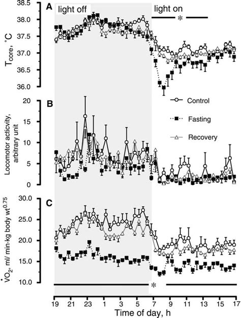 Circadian Body Temperature Rhythm And The Interaction With Energy State