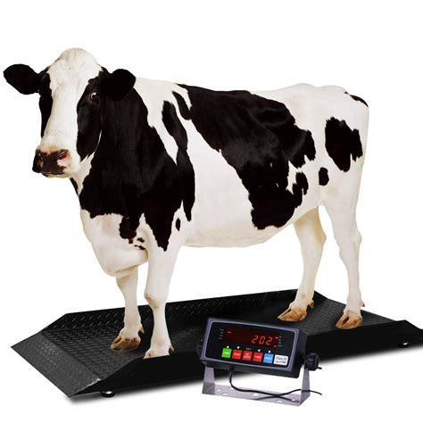 Pec Scales Large Animal Scalefarm Livestock Scales Capacity 4000 X 1