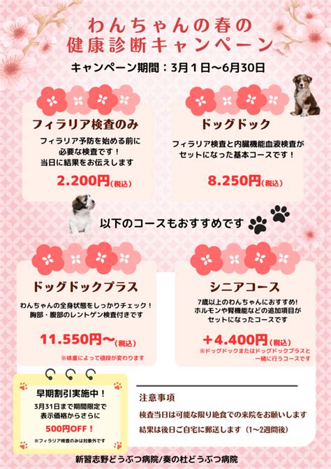 今年もワンちゃんの春の健康診断キャンペーンが始まります！ 習志野市の動物病院なら、新習志野どうぶつ病院