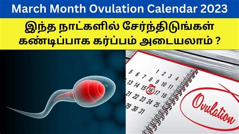 Ovulation Calendar In Tamil Ovulation Calculator In Tamil Fast