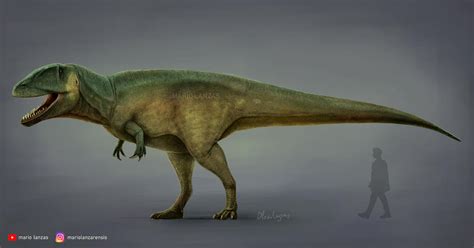 Carcharodontosaurus 2021 By Mariolanzas On Deviantart