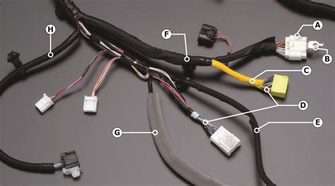 The Anatomy Of A Wiring Harness SEWS