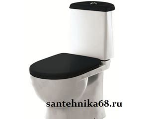 Унитаз-компакт Sanita Luxe САНИТА ЛЮКС Best Black SL DM тамбов купить ...