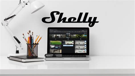 Shelly Pm Guida Con Schema Elettrico Di Collegamento