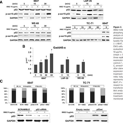 Figure From Cd Triggering In Ewing Sarcoma Delivers A Lethal Signal