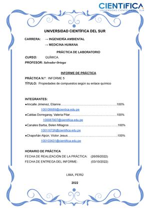 Informe DE LAB 1 Practica De Laboratorio Quimica General Materiales