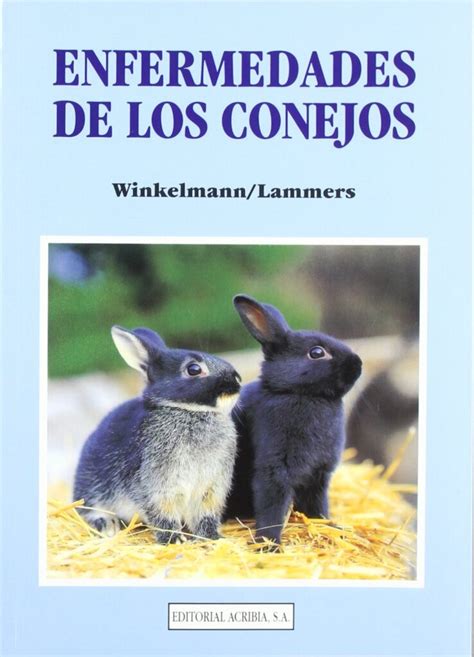 Enfermedades comunes en los ojos de los conejos Causas síntomas y