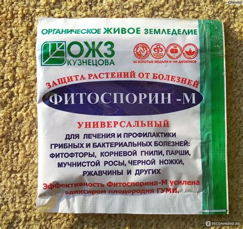 Фитоспорин -М (порошок) универсальный ОЖЗ КУЗНЕЦОВА - «Мучнистая роса ...