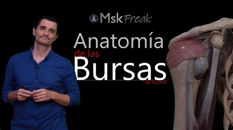 Anatom A De Las Bursas Del Hombro Parte I Youtube