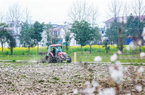 不负农时不负春 梁平大地万象“耕”新——梁平网