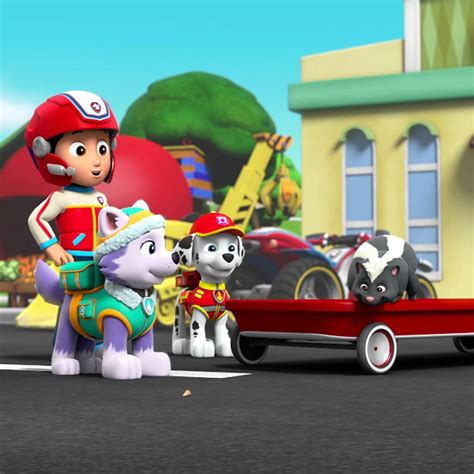 Paw Patrol Seizoen 3 Afl 20 Pups Stinken Erin Pups En Het Spel Met De Walvis Volledige