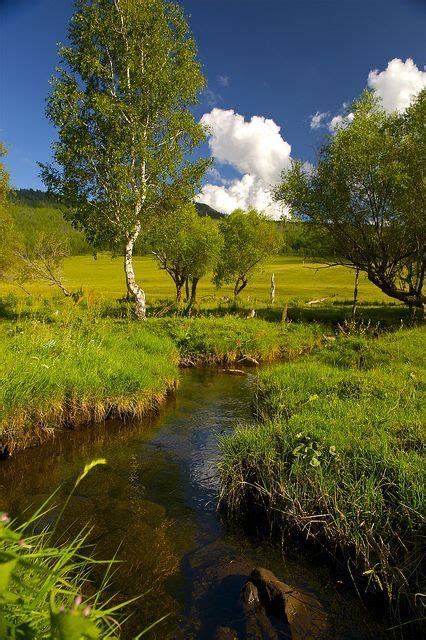 Pin By Morning Glory Meadow On Country Life Landscape