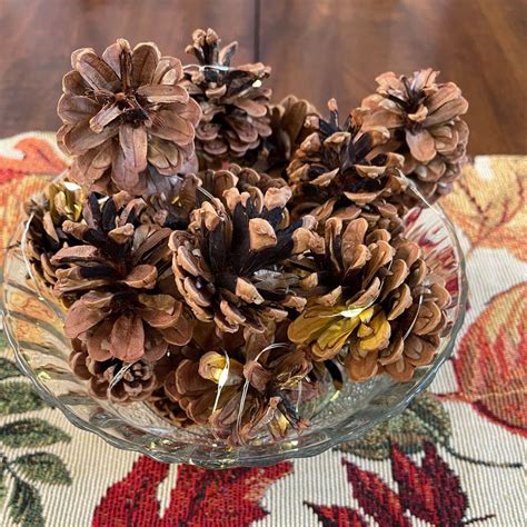 Easy DIY Pinecone Centerpiece For Fall | Olive Blossom Designs