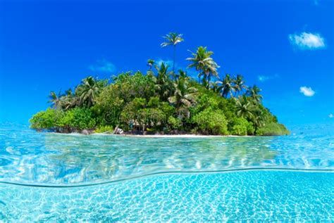 1,331,273 Tropical Island Stock Photos - Free & Royalty-Free Stock ...