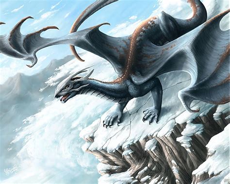 Snow Dragon Wallpapers Top Free Snow Dragon Backgrounds Wallpaperaccess