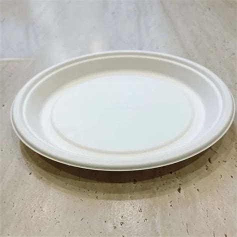 Areca Leaf Plates at best price in Varanasi by Gem Marketing (India ...