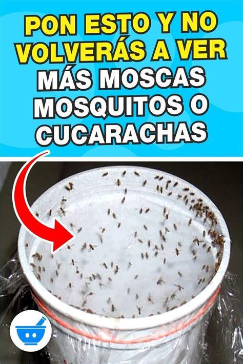 Ponlo En Tu Casa Y En Hora Nunca M S Ver S Moscas Mosquitos O