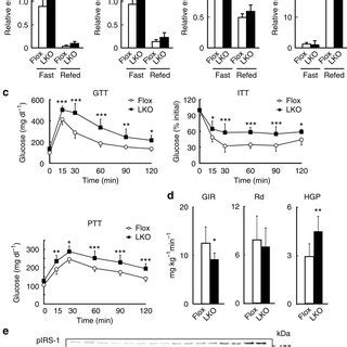 Lko Mice Have Glucose Intolerance And Hepatic Insulin Resistance A