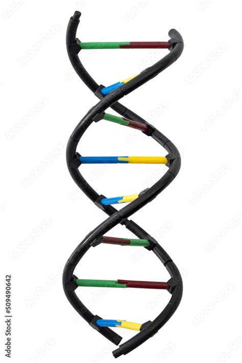 Molecular Biology Biotechnology And Biochemistry Research And Genetic