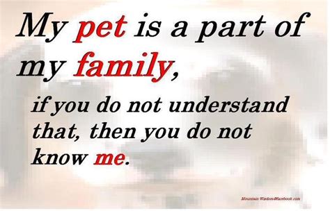 Quotes About Family As Pets. QuotesGram