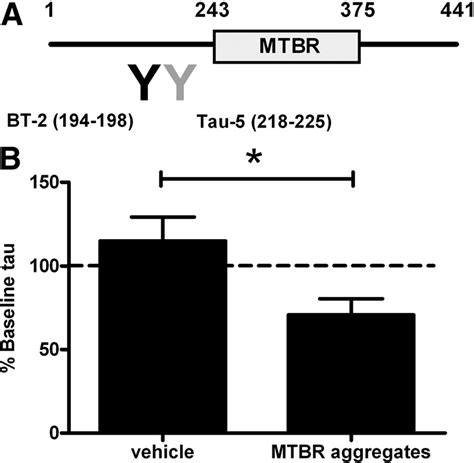 Tau Aggregates Induce An Acute Decrease Of Isf Tau Levels In