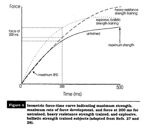 Kin 200 Ch22 Sex Differences Force And Velocity Adaptations