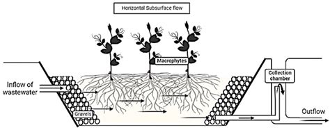 Fermentation Free Full Text Constructed Wetland Coupled Microbial