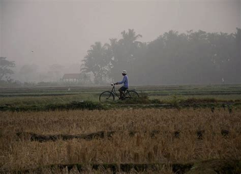 Dwi Susanti: Terpincut Kabut Pagi di Imogiri