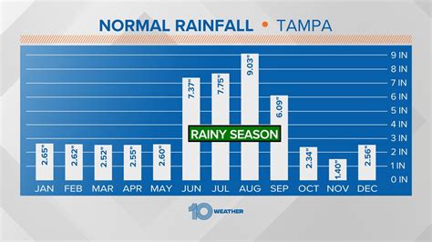 Florida drought conditions worsening in dry season | wtsp.com