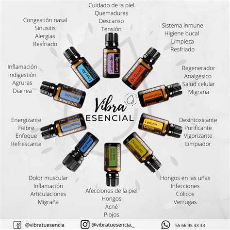 10 Aceites Esenciales DoTERRA Aceites Esenciales Doterra Aceite