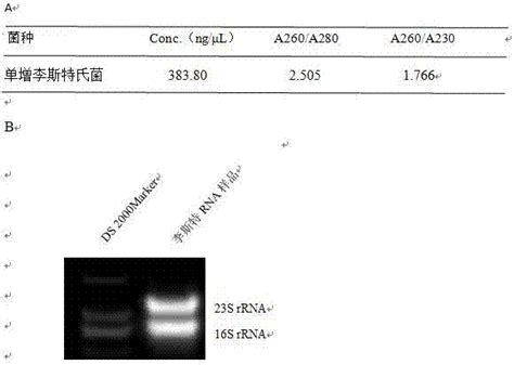 一种高效稳定的细菌总RNA提取方法与流程