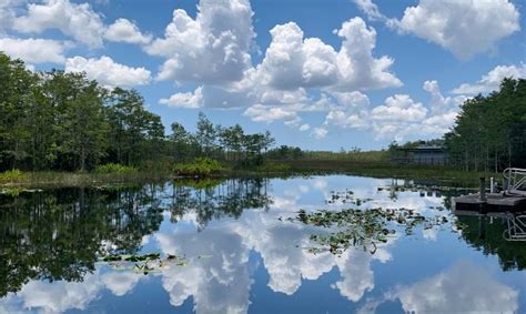 Grassy Waters Conservancy – Supporting the Everglades in West Palm Beach